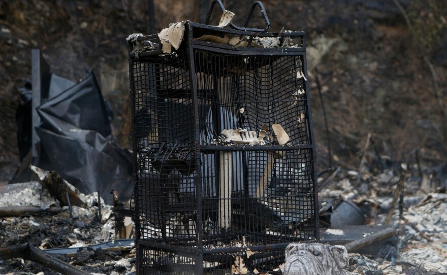 A charred birdcage sits in the smoldering remains of a home in Gatlinburg, Tenn.