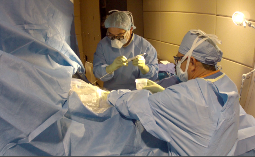 Dr. Chen inserts a biopsy needle into Carpinelli's brain and extracts a sample of the tumor for the pathologist. 