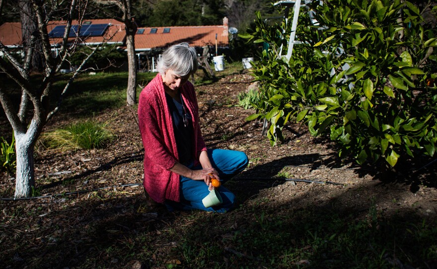 Evans recently retired from nursing. Her husband says the consistent pain she's experienced since her injury in 2010 has made it difficult to do the things she used to enjoy — such as gardening.