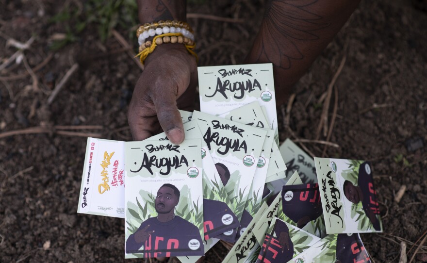 Vita has mailed out more than 20,000 packets of his kale, beet and arugula seeds to urban farmers across the country.