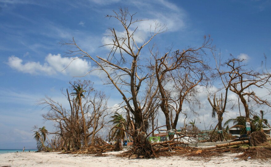 The beach in front of Nicholas Buisson's house in Port Salut.