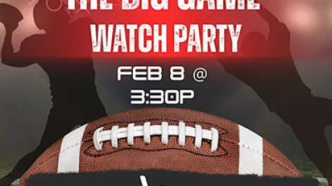 The Big Game Watch Party at Mesa Bar and Grill