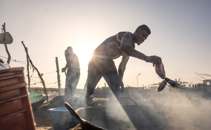 A man deep fries fish in the fishing village of Kalokol on the shore of Lake Turkana in northern Kenya. Fish from the lake is exported as far afield as the Democratic Republic of Congo.