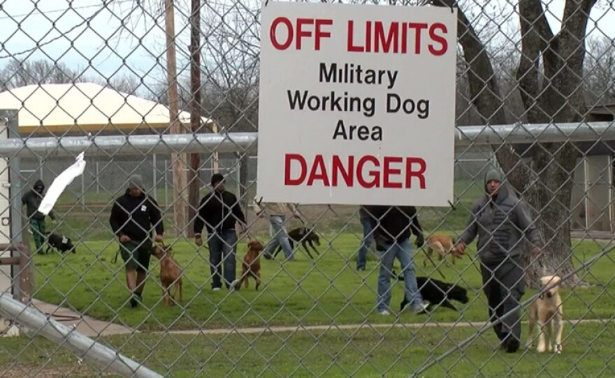 Trainers and dogs behind a fence with a sign that reads "Off Limits Military Working Dog Area Danger."