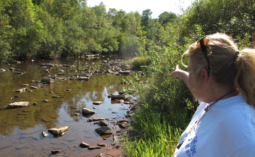 Laurie Barr points to an abandoned well located in the middle of a McKean County, Pa., stream.