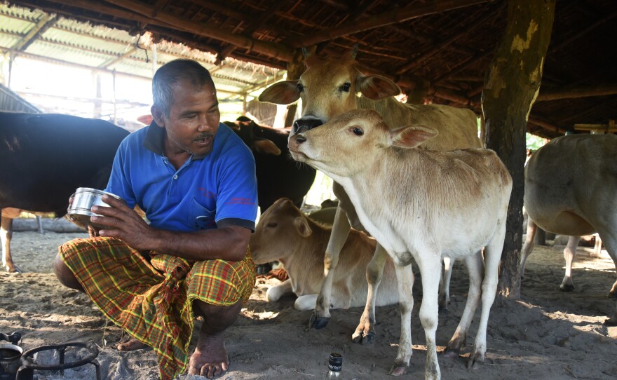 Jadav Payeng kneels before a fire in his cowshed, preparing morning tea before he ventures out on his daily rounds tending to the Molai Forest and collecting edible and medicinal herbs.