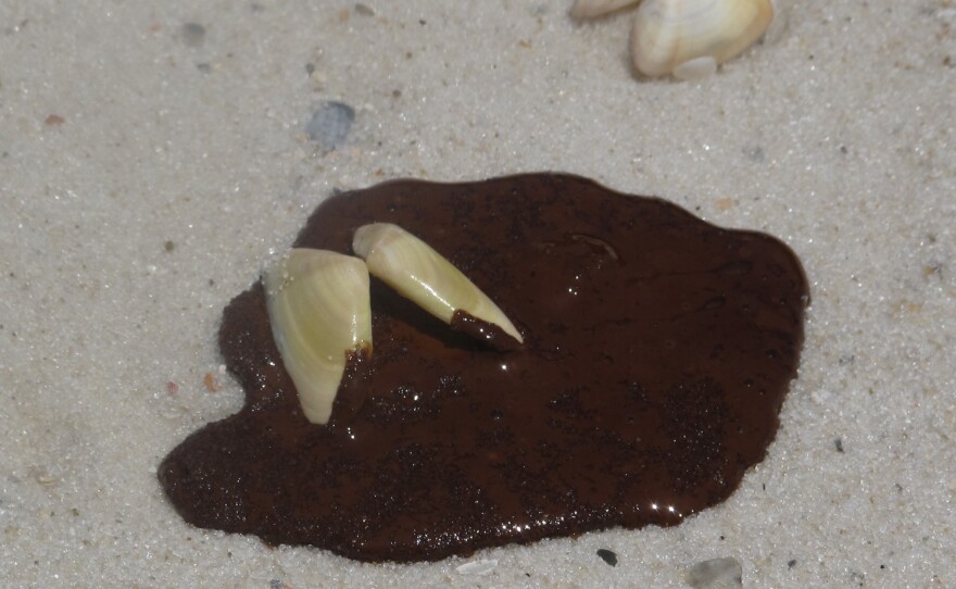 Fresh oil puddles on the white sand in Orange Beach, Ala., during the BP oil spill in 2010.
