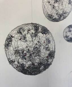 igc-anne-mudge-1-1_orig-nucleus1.jpg