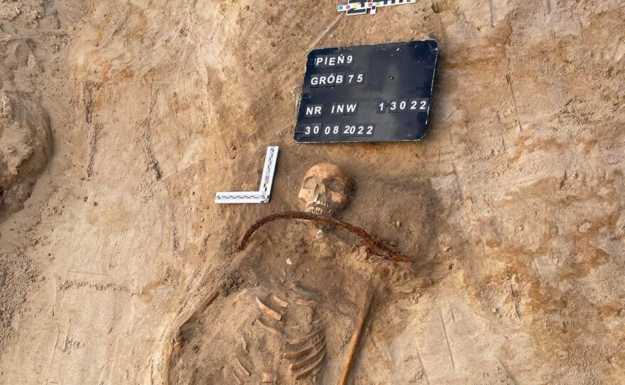 The unsettling 'vampire' skeleton found in rural Pień, Poland, was buried over 350 years ago with a sickle across the neck and padlock on a toe to keep the corpse in the grave.