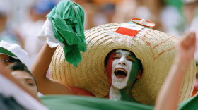 A Mexican fan, his face painted with Mexico's national colors, cheers in the stands at the Citrus Bowl stadium in Orlando, Fla., on June 24, 1994, prior to the start of the World Cup match between Mexico and Ireland.