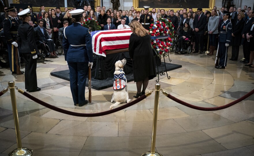Sully, a yellow Labrador service dog that belonged to former President George H. W. Bush, sits near the casket of the late president as he lies in state at the U.S. Capitol, Tuesday in Washington, D.C.