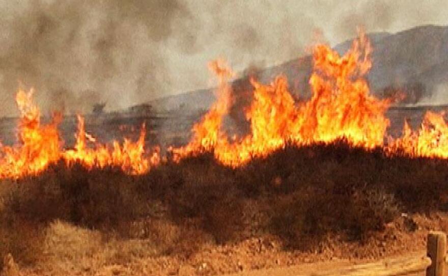 A brush fire in the Campo area on September 23.