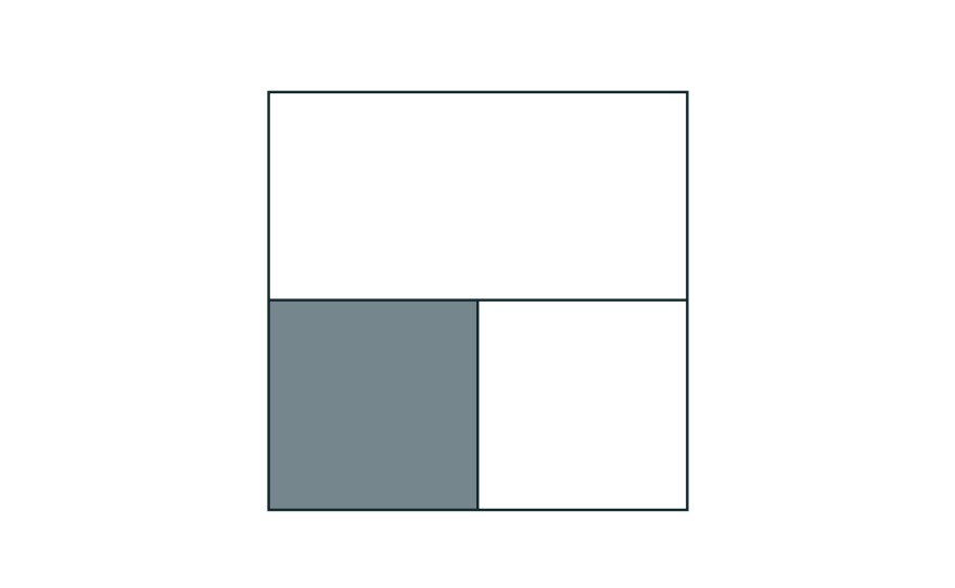 Students might think that the fraction of the shaded area in this rectangle is 1/3, 1/4 or 1 1/2.