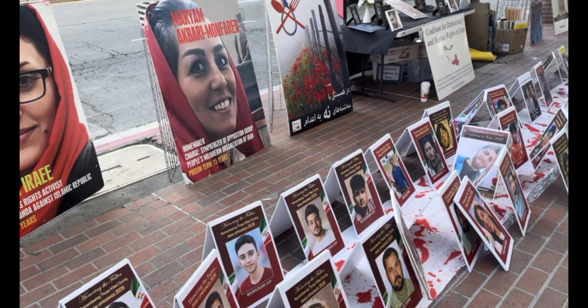 Local Iranian activist unpacks mixed feelings about war