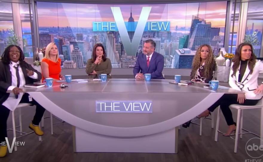 Protesters interrupted Sen. Ted Cruz, R-Texas, during an interview on <em>The View</em> on Monday.