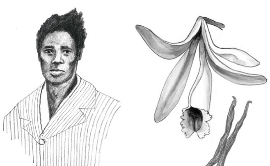 Slave Edmond Albius and a vanilla plant: "Vanilla is here thanks to a 12-year-old slave who figured out a botanical secret no one else knew," Lohman writes.
