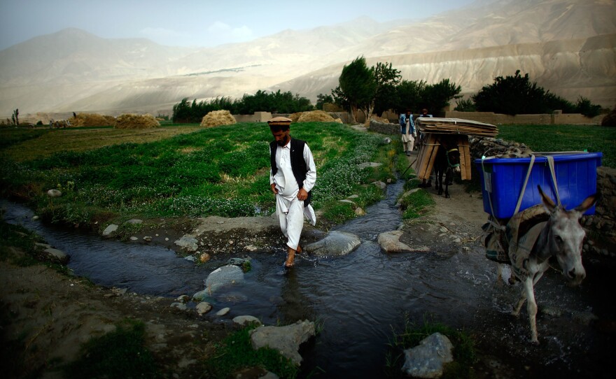 Local election officials escort donkeys carrying election materials on the way to the village of Quali Kuana in Badakhshan province in Afghanistan. From the story "Donkeys Deliver The Vote To Rural Afghanistan," 2009.