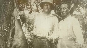 Theodore Roosevelt and Candido Rondon holding up a bush deer, 1914.