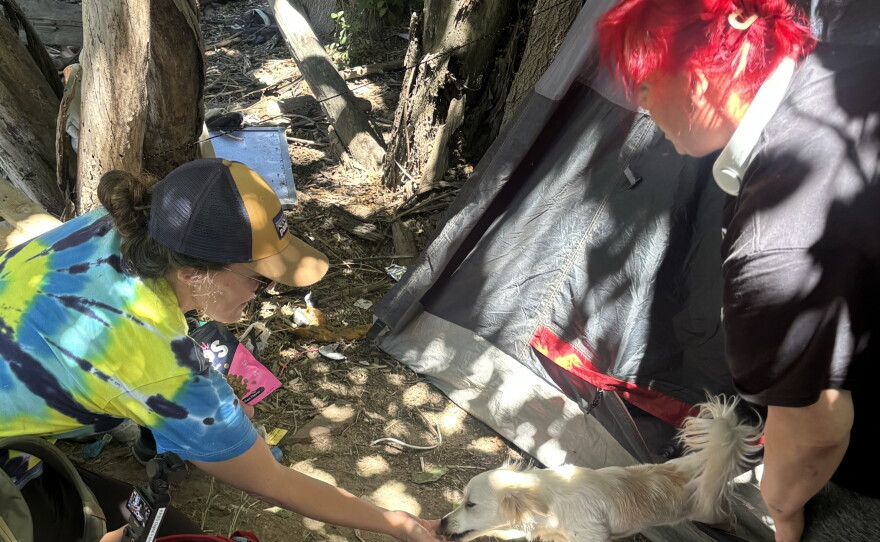 San Diego Riverpark Foundation COO Sarah Hutmacher gives treats to a dog who lives along the San Diego Riverbed with his owner on June 17, 2026.