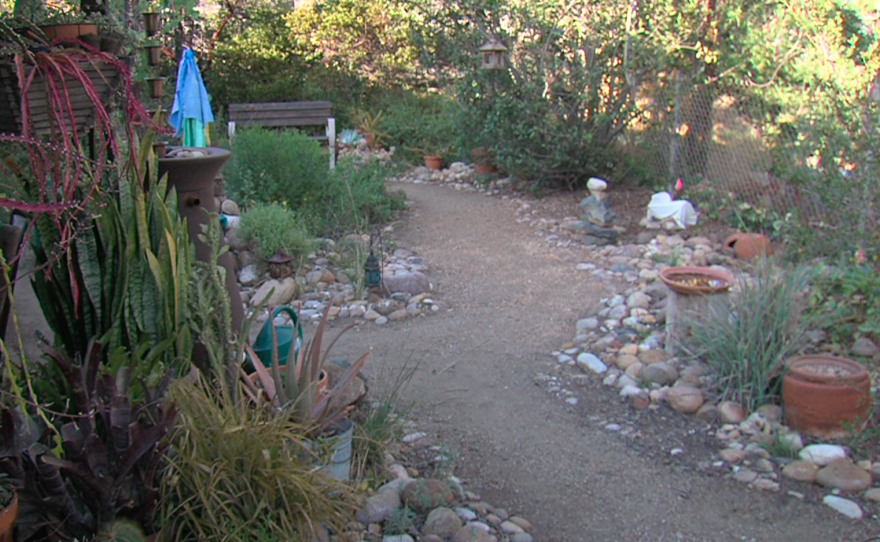 San Carlos residents Callie Mack and Phillip Roullard replaced their grass lawn with drought resistant landscaping to save water. April 13, 2015.