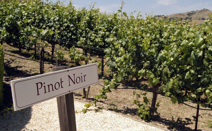 A vineyard in Napa Valley, Calif.