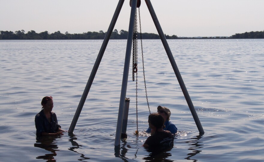 Researcher Paulette McFadden (in hat) and graduate students (Andrea Palmiotto and Melissa Ayvaz) work to extract a sediment core from and area in the Gulf of Mexico near Bird Island.