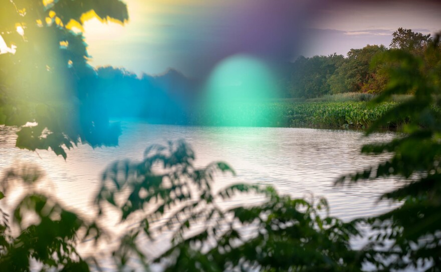 Feeling happier is all about planning ahead, Feldman Barrett says. You can stack the deck in favor of your brain, choosing positive, uplifting emotions in two main ways: taking care of your body and cultivating positive emotions.