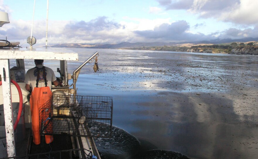 Sixteen Santa Barbara-based fishermen are participating in the Dock to Dish pilot program in California. Here, Charlie Graham fishes for lobster on his vessel, the March Gale, out of Santa Cruz Island.