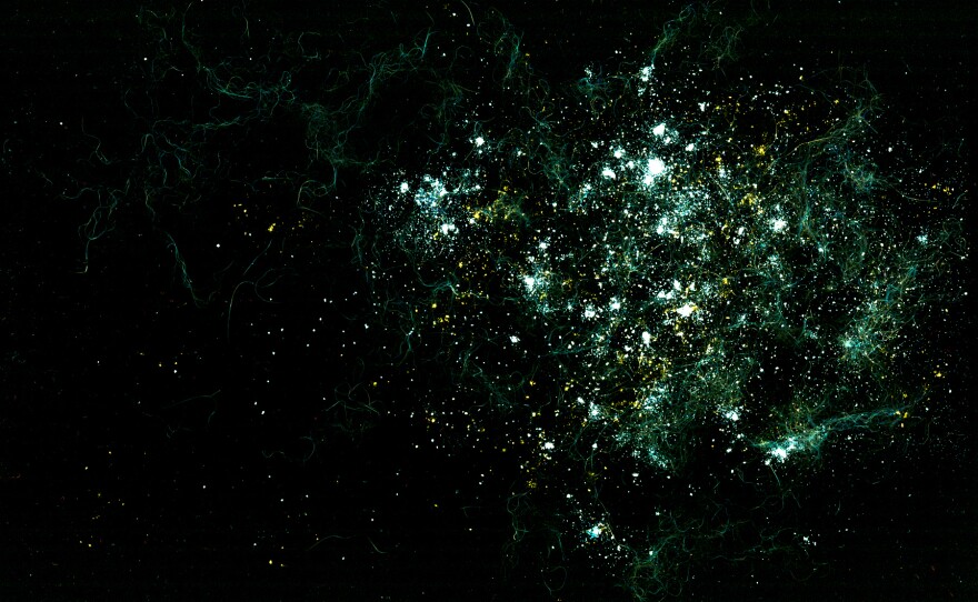 Nebula with gas streams: garlic powder, salt, flour, cumin, turmeric, cat fur.