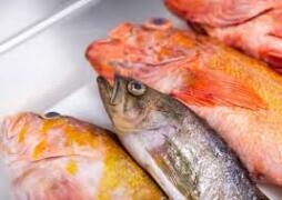 'Behind The Catch': Rockfish at Vistal