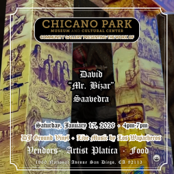 Opening Reception: David 'Mr. Bizar' Saavedra