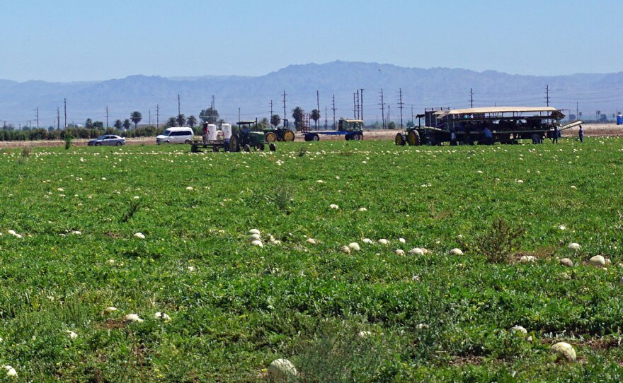 California's Imperial Valley produces around two-thirds of the country's vegetables in the winter, with water from the Colorado River.