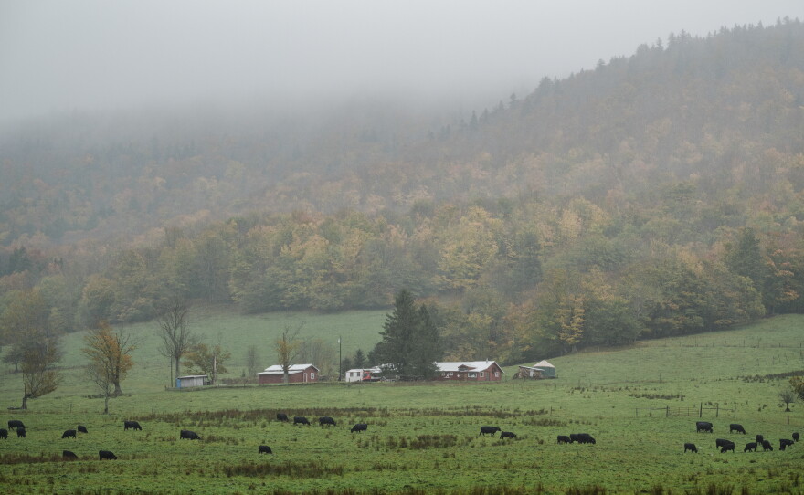 White Grass Ski Touring Center in Canaan Valley , W.Va., is celebrated for its unusually curvy and hilly cross-country skiing terrain.