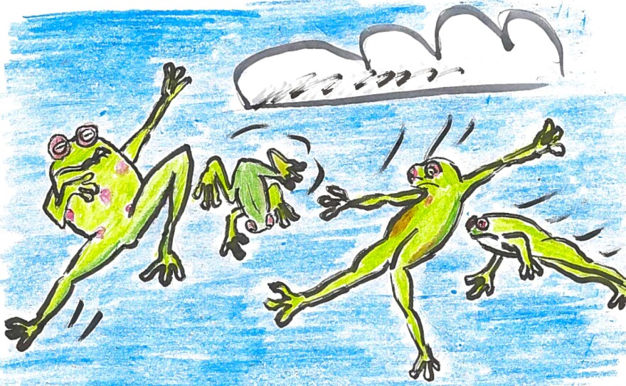 Frogs being blown by the wind into the sky.