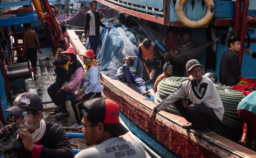 Indonesian fishermen unload various species, including sharks and wedgefish, which are one of the most threatened, in Tegal, Indonesia, on June 13, 2025.
