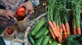 <strong>Locally Grown:</strong> A woman bags fresh organic vegetables at a community farmers market in New York.