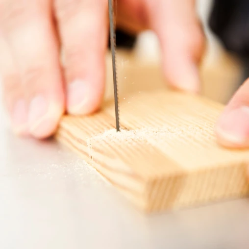 Scroll Saw Skills & Intarsia Woodworking Workshop
