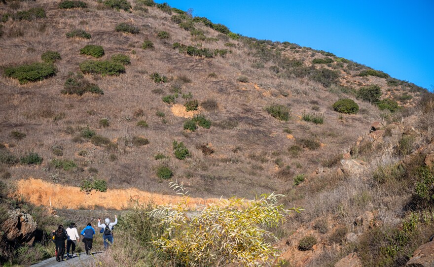 Migrants, having walked for roughly seven hours through rugged terrain in the Otay Mountain wilderness, celebrate their first taste of the U.S. south of Dulzura, Calif. on Jan. 13, 2024.