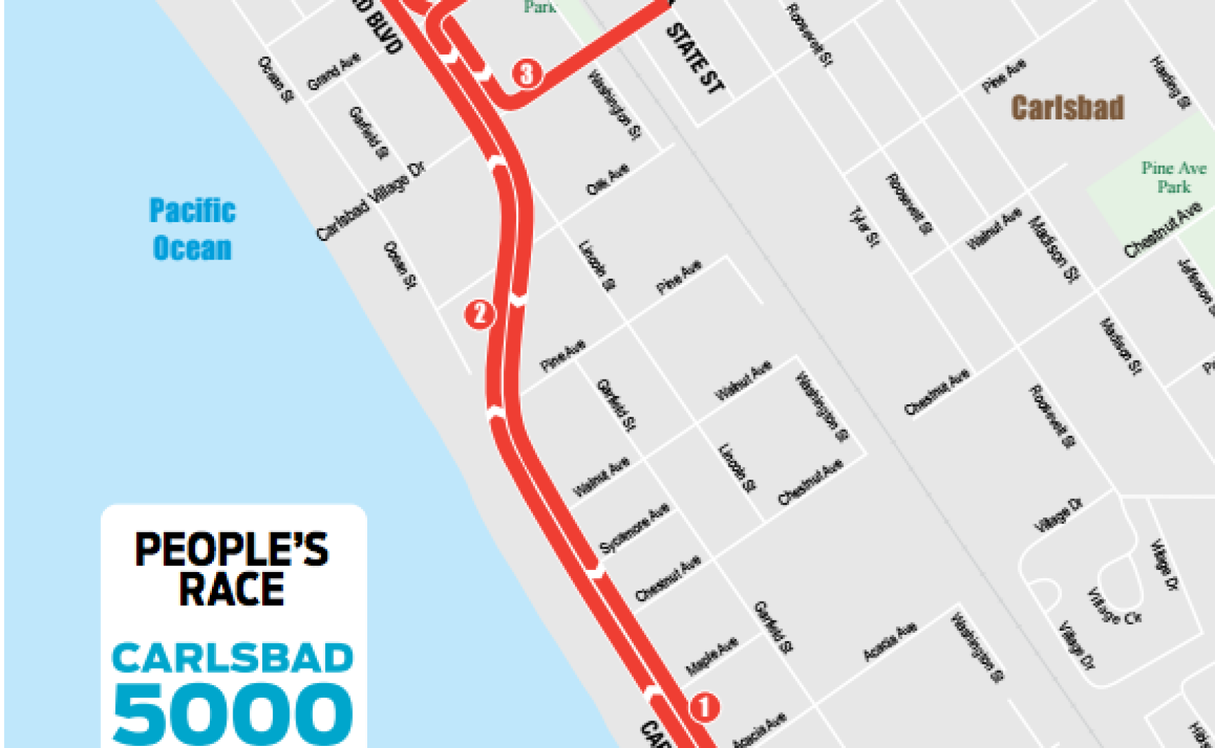 Carlsbad 5k 2025