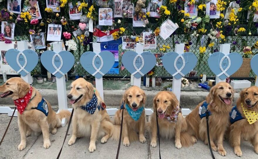 Hope, Tobias, Charity, Lizzie, Peace and Mary bring comfort to Surfside first responders and their families.