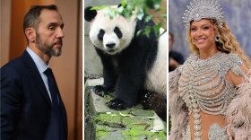 From left: Jack Smith, a new panda, Beyoncé.