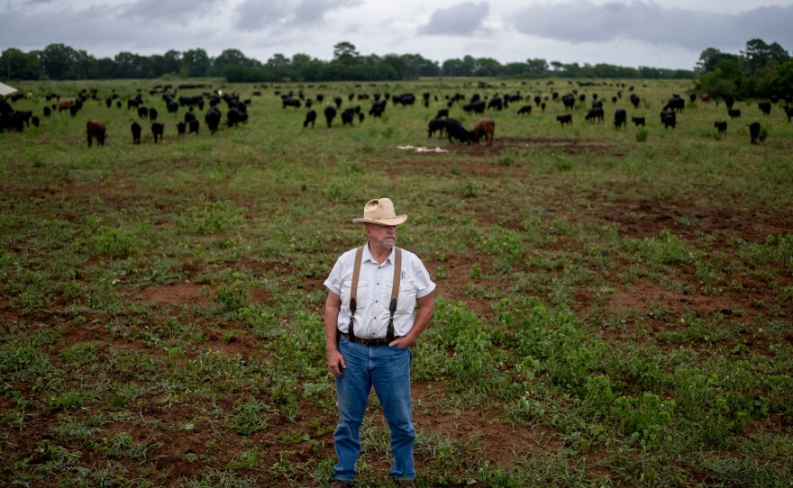 Will Harris stops to check on a herd of cattle on his farm, White Oak Pastures. The consulting firm Quantis conducted a carbon footprint evaluation of the farm and found its pastures could be capturing more carbon than its cows are emitting. When grass is allowed to grow on the pastures, it puts down deep roots, storing carbon in the soil that it draws out of the atmosphere.