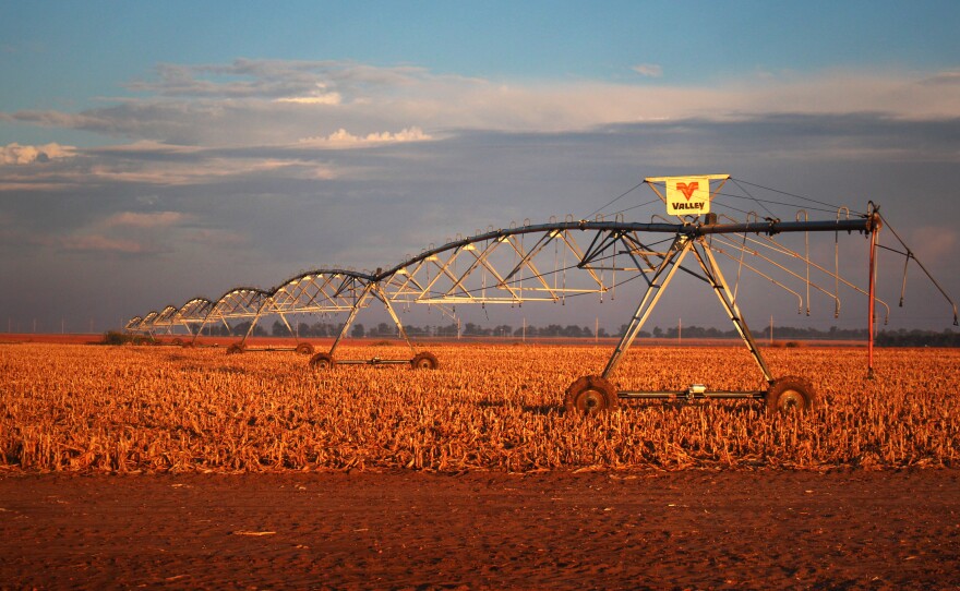The long arms of pivot irrigation rigs deliver water from the Ogallala Aquifer to circular fields of corn in northwestern Kansas.