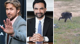 From left: Ryan Gosling, Zohran Mamdani, Jimothy.