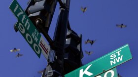 High-profile K Street concerns were paid huge sums to lobby on the health care overhaul in 2009, according to an analysis from the Center for Public Integrity.