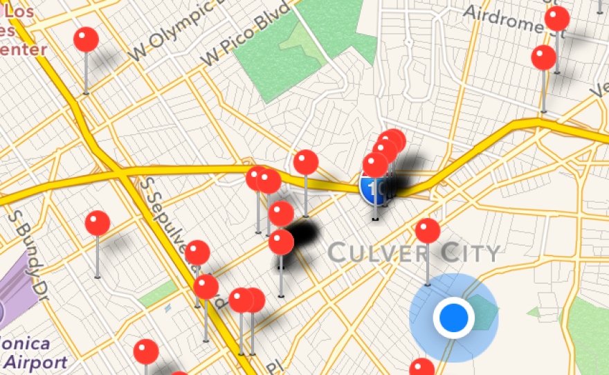 A screen grab from the app VizSafe, where users can report things like fallen branches, potholes, and even water wasters to a geotagged map.