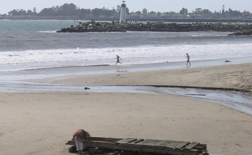 Tsunami Debris near Santa Cruz Harbor