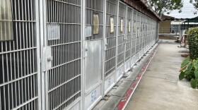 The Bonita animal shelter, shown in this photo taken June 3, 2025, is one of the San Diego County Department of Animal Services' facilities. The Bonita shelter houses dogs in covered outdoor kennels.