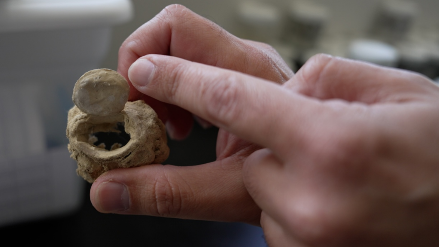 Dr. Shahan Derkarabetian points to two tiny punctures where trap door spiders use their fangs to hold the door down to their subterranean den on July 9, 2026.
