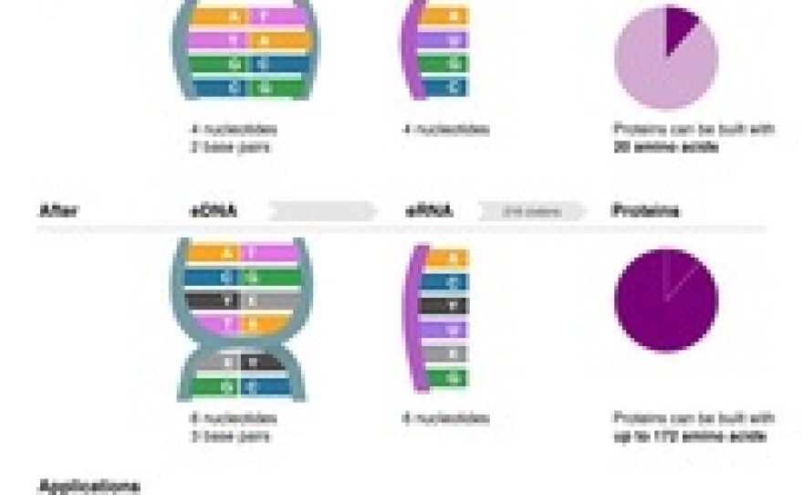 How biochemists expanded nature's genetic alphabet.